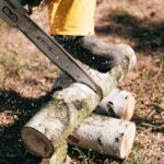 Baumschnitt in NRW Regeln