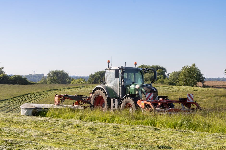  Rasenmähen in NRW: Zeitrahmen und Regeln
